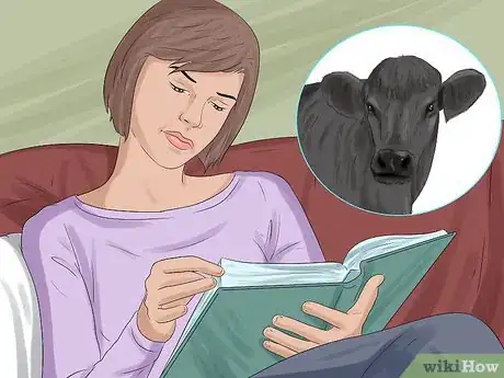 Image titled Identify Welsh Black Cattle Step 7