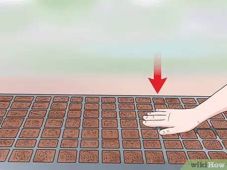 Image titled Grow Tomatoes Upside Down Step 1