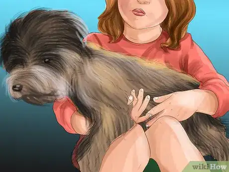 Image titled Keep Toy Breed Dogs Safe Around Kids Step 12