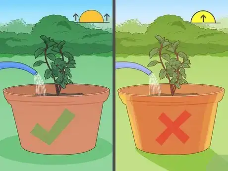 Image titled Water Herbs Step 4