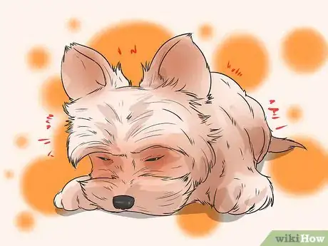 Image titled Prevent Canine Leptospirosis Step 11