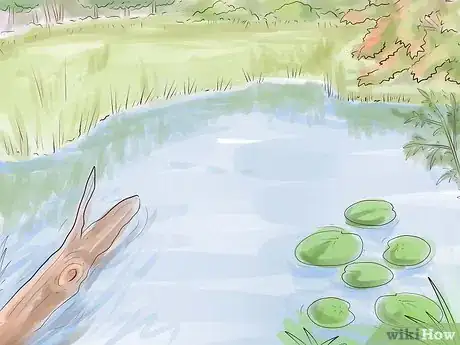 Image titled Fish For Bream Step 10