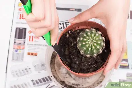 Image titled Pot a Spiny Cactus Without Getting Pricked Step 7
