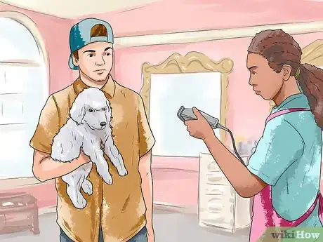 Image titled Care for Labradoodles Step 6
