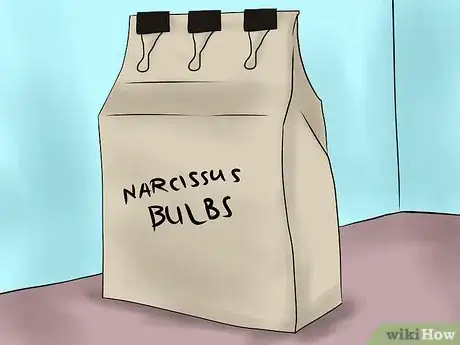 Image titled Keep Narcissus Bulbs After Flowering Step 18Bullet1