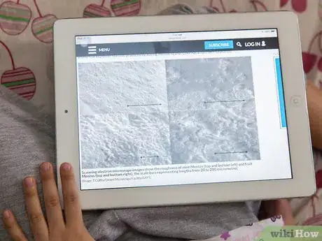 Image titled Make a Volcano out of Mentos and Soda Step 17