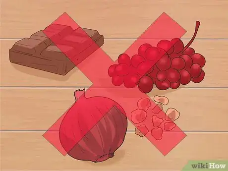 Image titled Care for Bernese Mountain Dogs Step 4