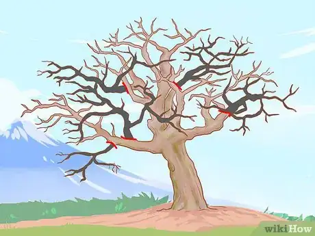 Image titled Prune Old Apple Trees Step 9