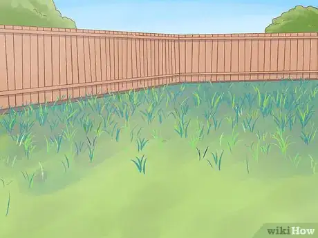 Image titled Grow Cucumbers Step 1