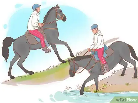 Image titled Condition Your Horse for Endurance Riding Step 4