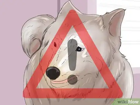 Image titled Check a Dog for a Fever Step 3