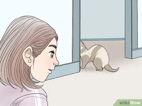 Image titled Stop a Ferret from Stealing Things Step 9