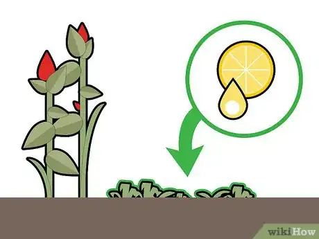 Image titled Kill Grass Invading a Flower Bed Step 18