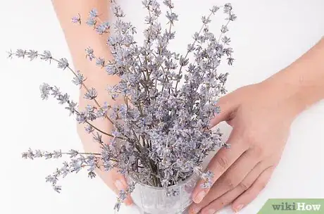 Image titled Make Lavender Breath Freshener Step 1