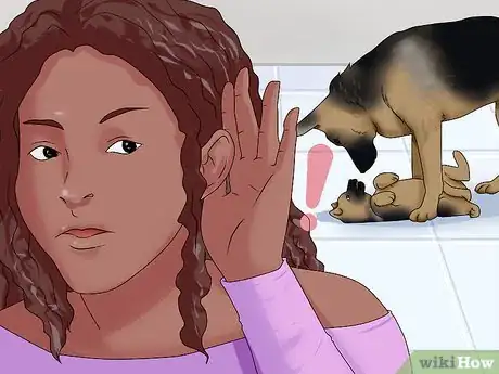 Image titled Introduce a New Dog to Your Senior Dog Step 14