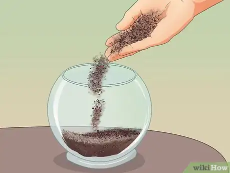 Image titled Make Moss Terrariums Step 10