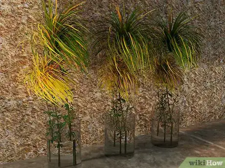 Image titled Create a Tropical Area Inside a House Step 10