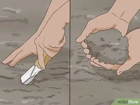 Image titled Grow Crocus Step 5