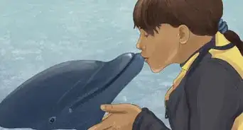 Plan an Orlando Vacation