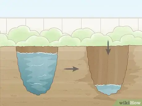 Image titled Grow Licorice Root Step 6