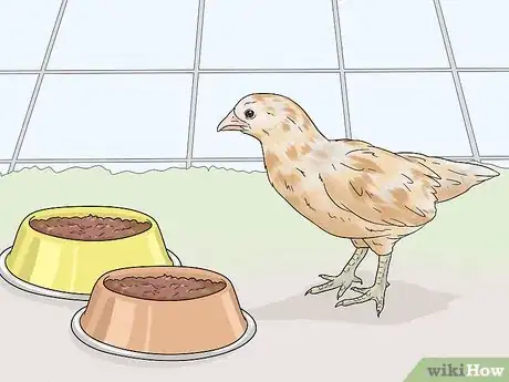 Image titled Feed Chickens Table Scraps Step 11