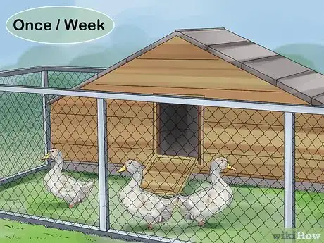 Image titled Train Ducks Step 1