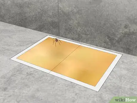 Image titled Keep Hobo Spiders Out of the House Step 6