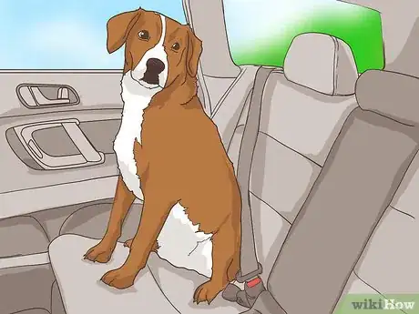 Image titled Handle Holiday Travel with Your Pet Step 2