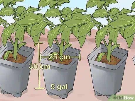 Image titled Grow Vegetables in Small Gardens Step 9