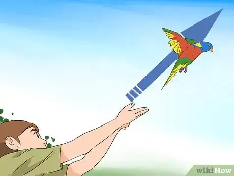 Image titled Groom Lories and Lorikeets Step 14