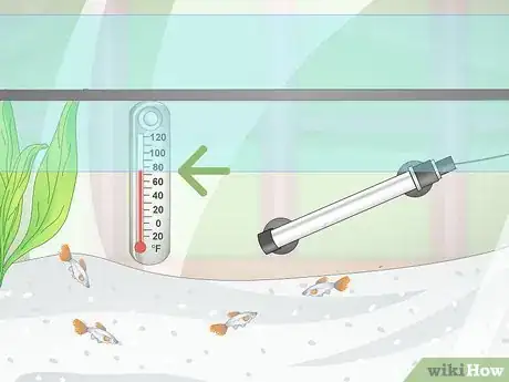 Image titled Prevent Fish From Getting Sick Step 1