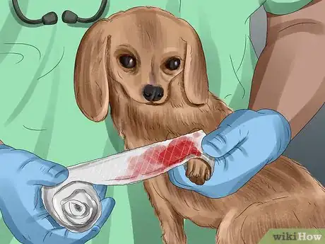 Image titled Tell if Your Dog Is Having a Medical Emergency Step 18