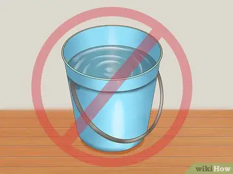 Image titled Protect Your Pets from Summertime Pests Step 1