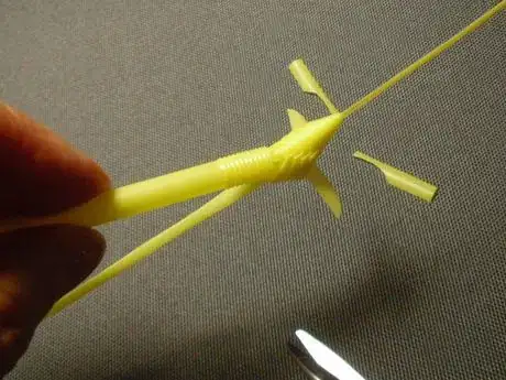 Image titled Shachi29_776.JPG