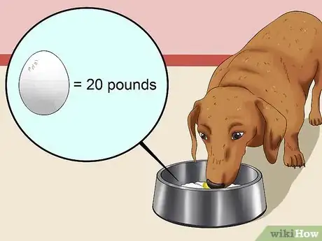 Image titled Prepare a Healthy Meal for Your Pet Dog Step 8