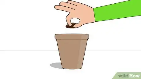 Image titled Plant Loquat Seeds Step 5