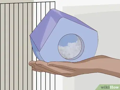 Image titled Give a Chinchilla a Dust Bath Step 18