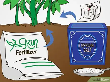 Image titled Maintain Roses Step 3