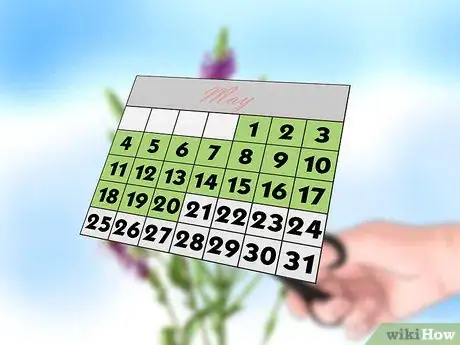 Image titled Grow Verbena Step 10