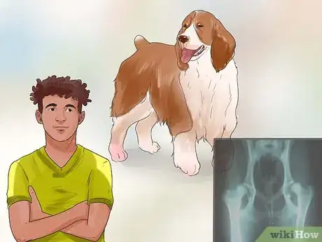Image titled Care for English Springer Spaniels Step 16