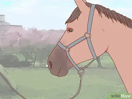 Image titled Transport a Horse Step 7