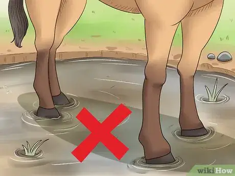 Image titled Treat Grease Heel in Horses Step 11