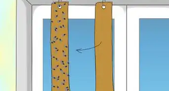 Make Fly Paper With Golden Syrup