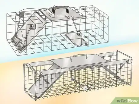 Image titled Trap a Rabbit Step 1