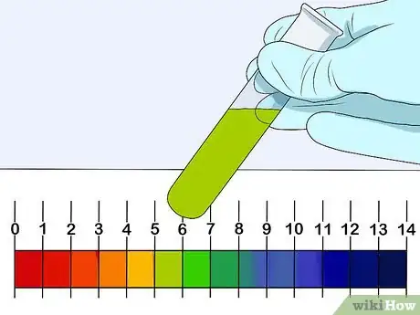Image titled Grow Duckweed Step 7