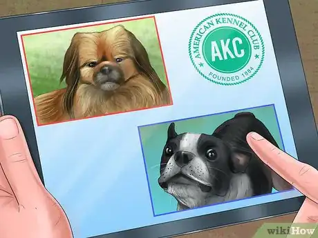 Image titled Adopt a Non‐Sporting Breed Step 1