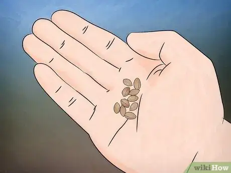 Image titled Grow Flowering Dogwood Step 3