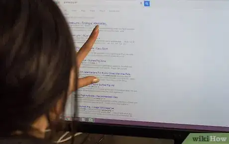 Image titled Find a Vet for Your Guinea Pig Step 2