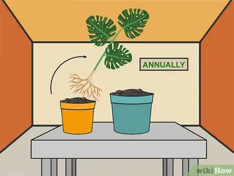 Image titled Grow Philodendron Step 13