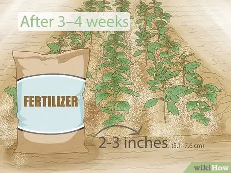 Image titled What Is the Best Fertilizer for a Vegetable Garden Step 8